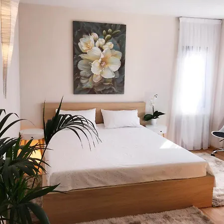 Viparaiso Apartment