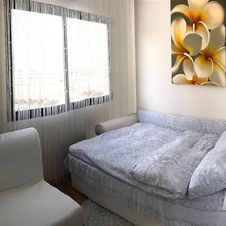 Viparaiso