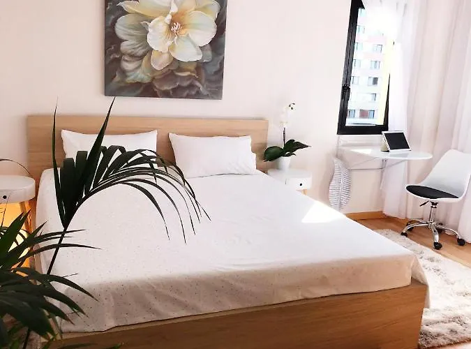Viparaiso Apartment