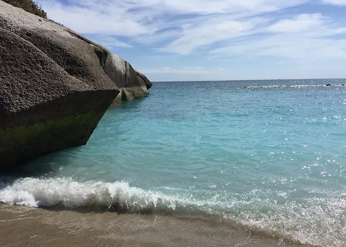 Viparaiso *